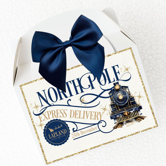 Christmas Treat Boxes